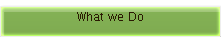 What we Do